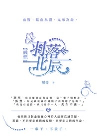 羽落北辰