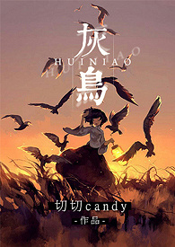 灰鸟